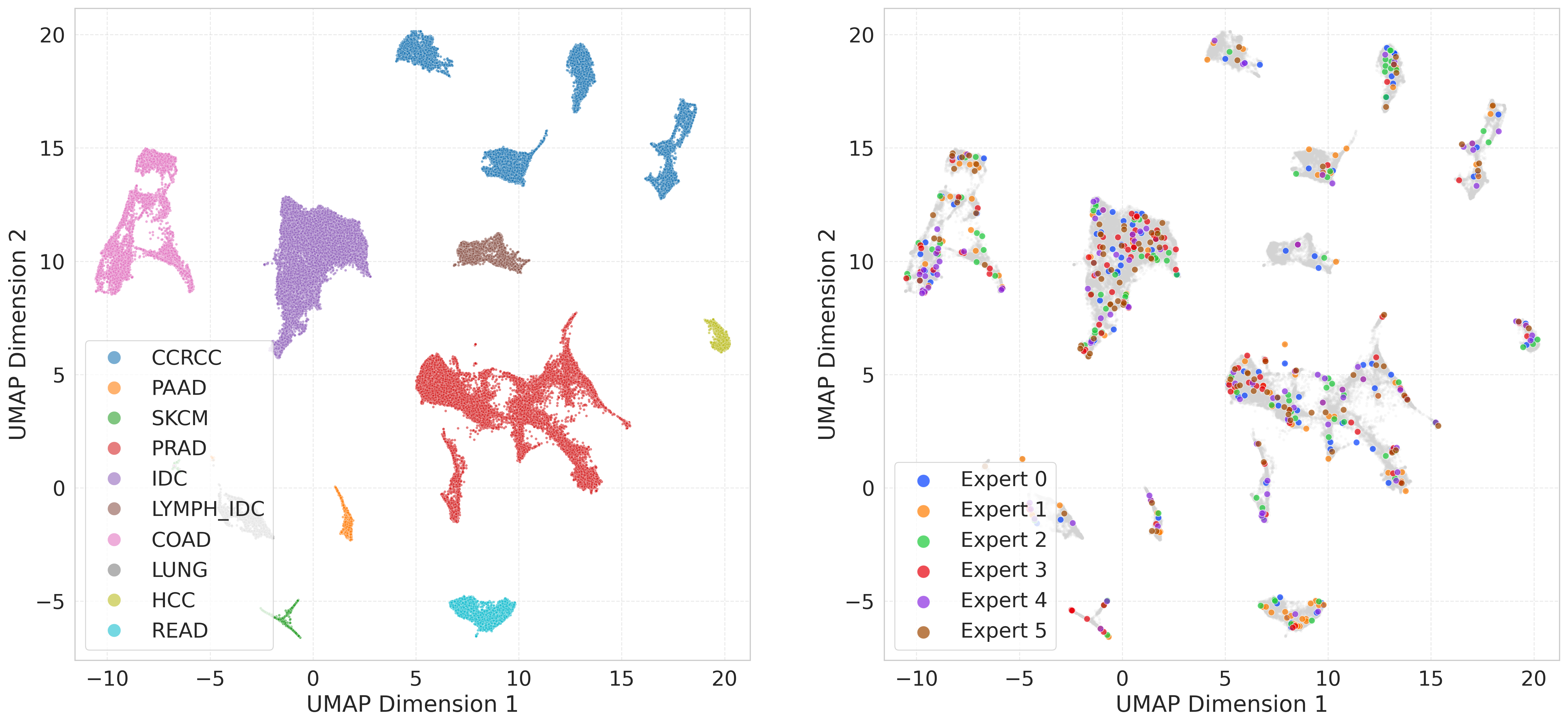Expert Specialization UMAP